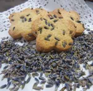 Biscotti lavanda